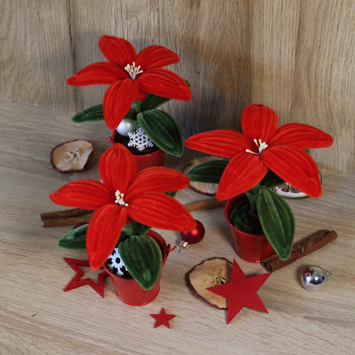 Sada na výrobu vánoční hvězdy