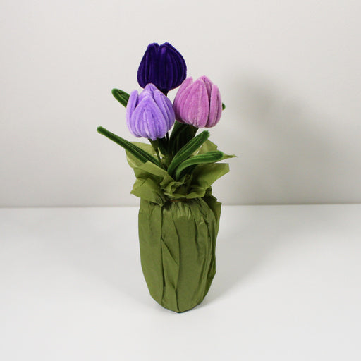 Tulipán fialový mix