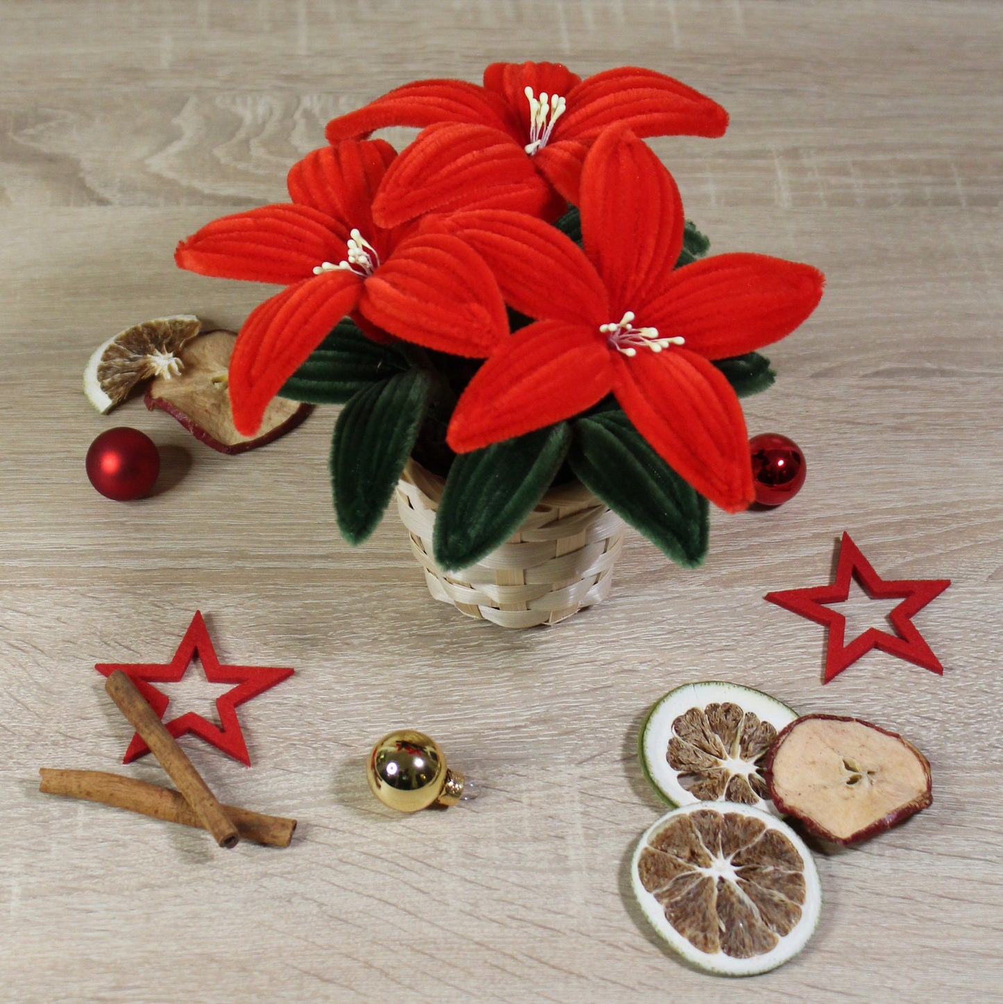 Vánoční hvězda 3 květy