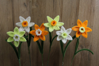 Narcis