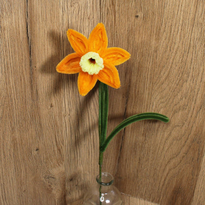 Narcis
