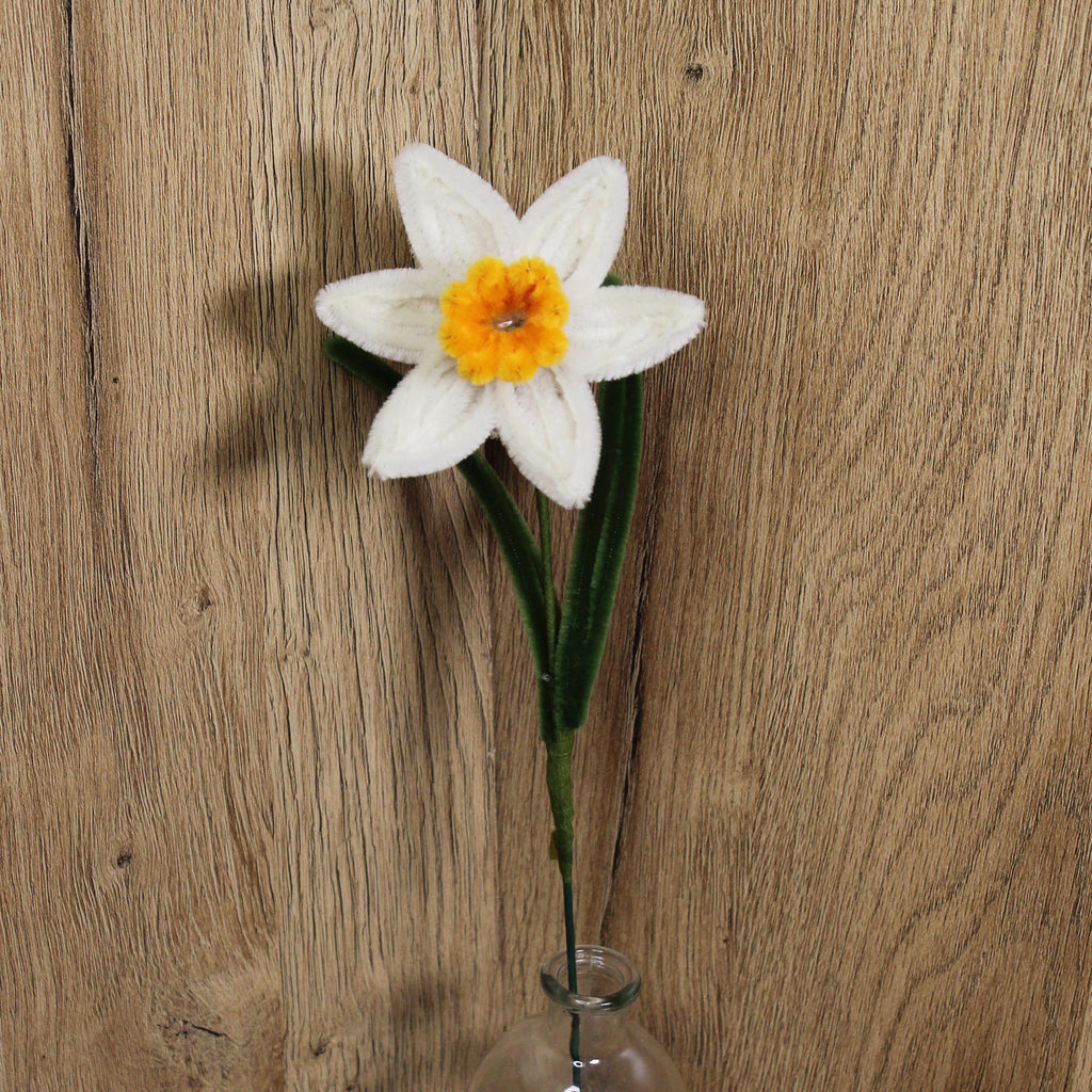 Narcis