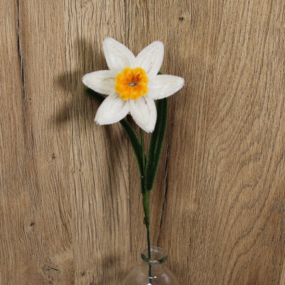 Narcis