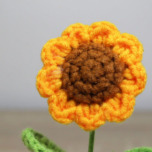 Háčkovaná slunečnice v květináčku
