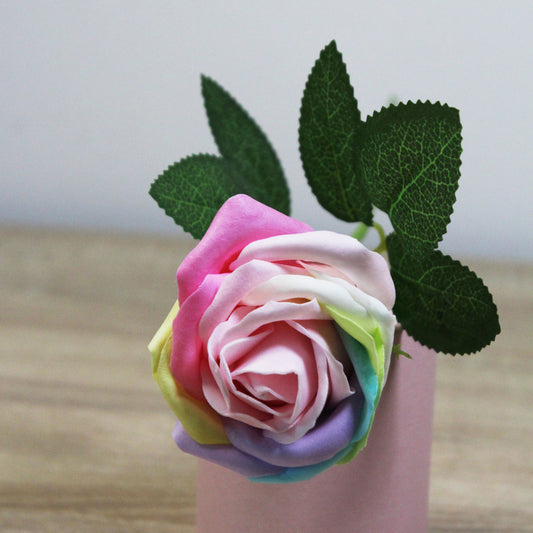 Duhová mýdlová růže