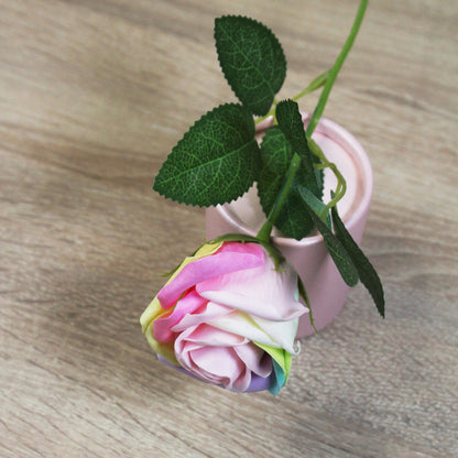 Duhová mýdlová růže