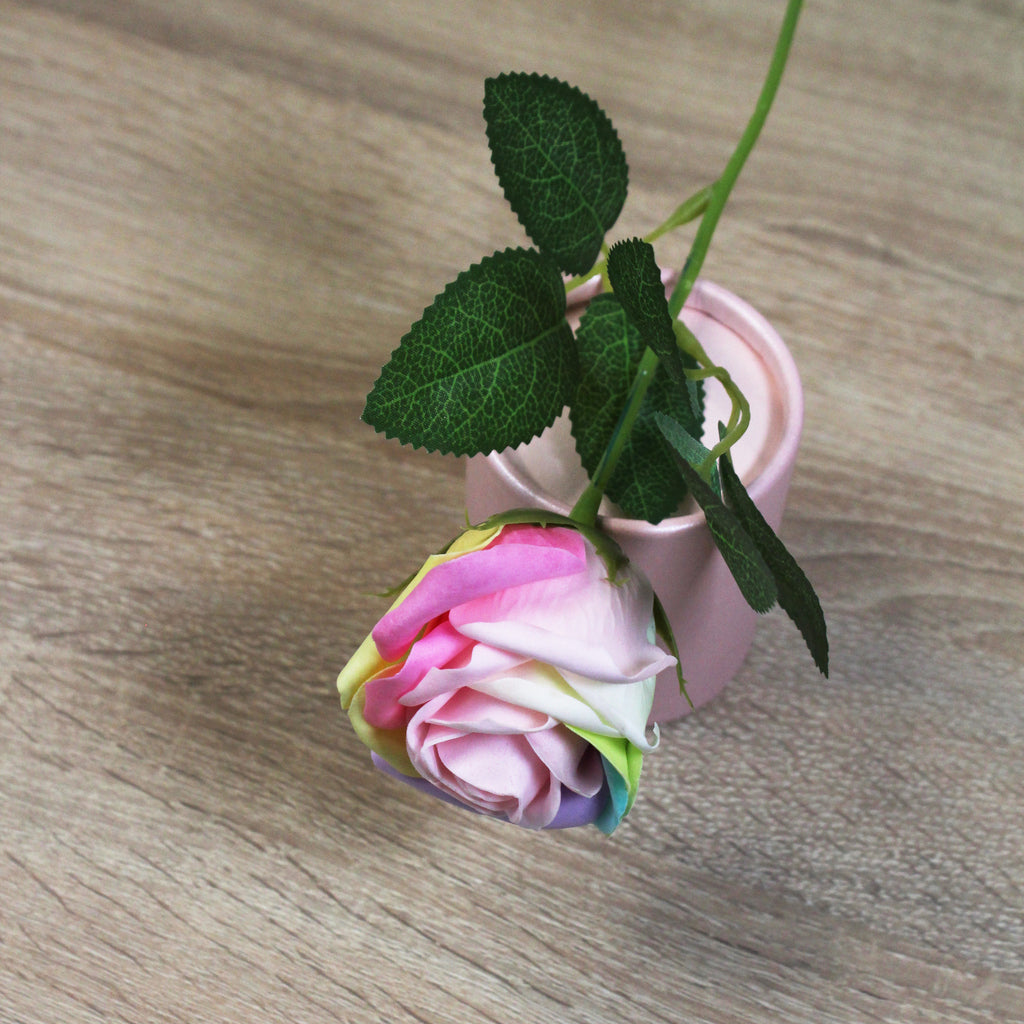 Duhová mýdlová růže