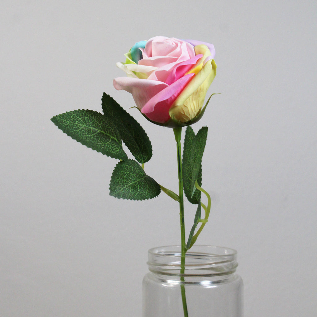 Duhová mýdlová růže