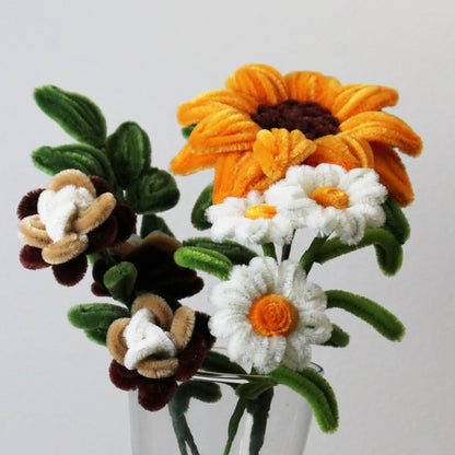 Pugét - Slunečnice