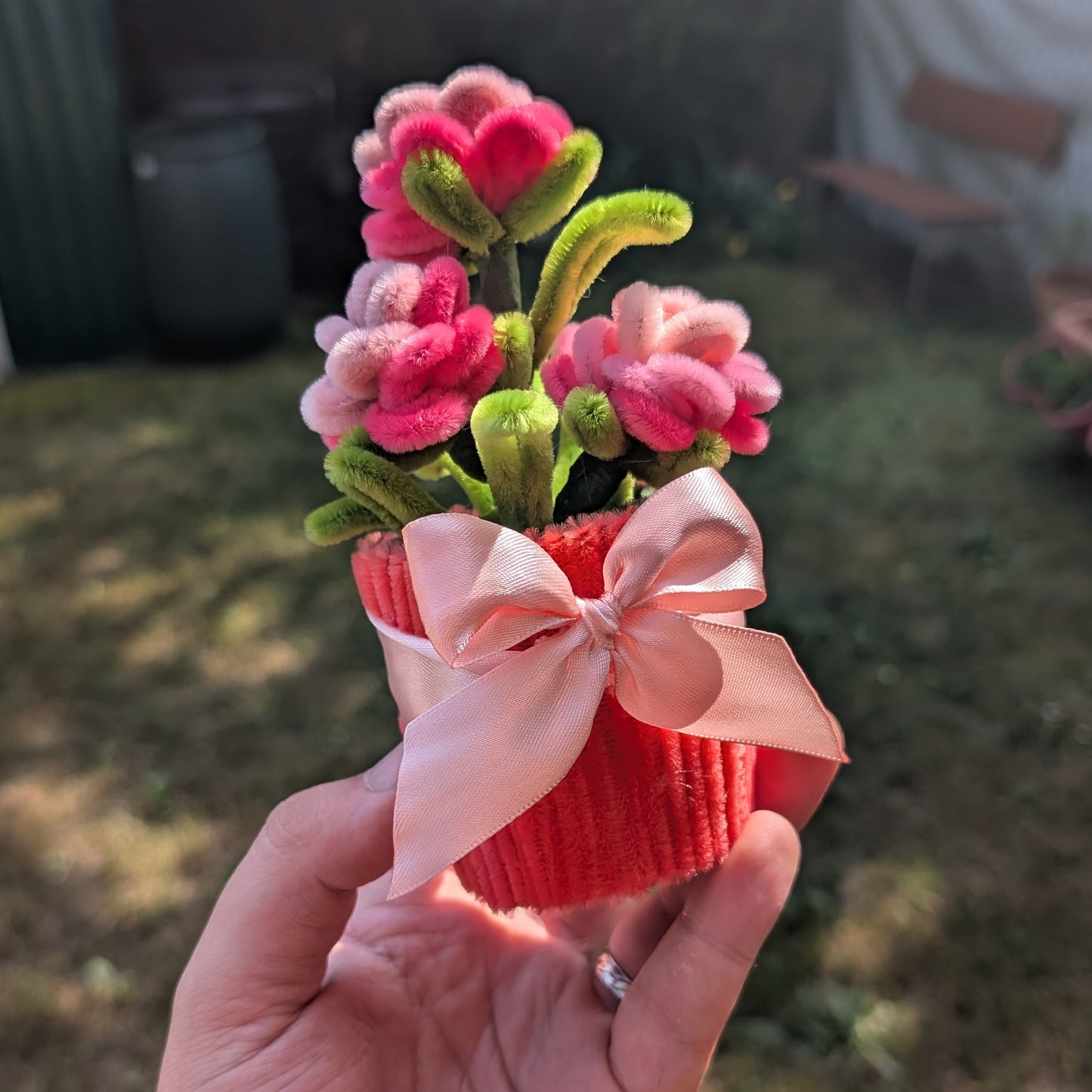 Trsová růže v květináči - malá