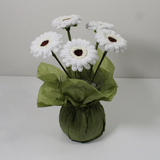 Gerbera bílá