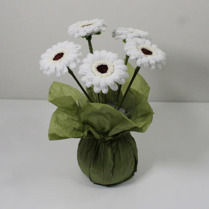 Gerbera bílá