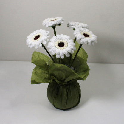 Gerbera bílá