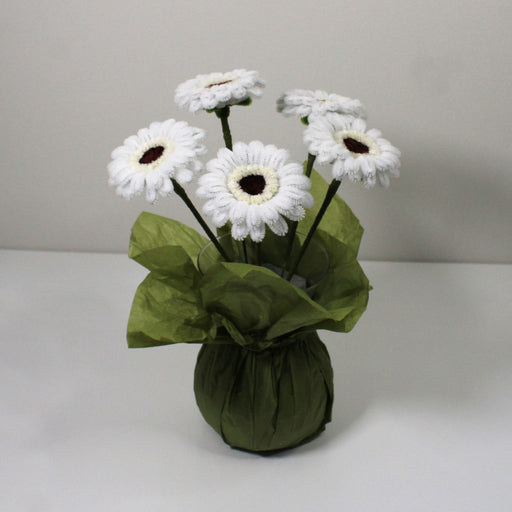 Gerbera bílá