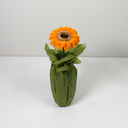 Gerbera oranžová