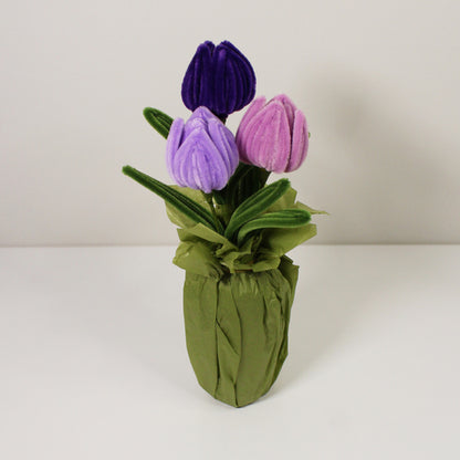 Tulipán fialový mix