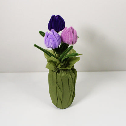 Tulipán fialový mix