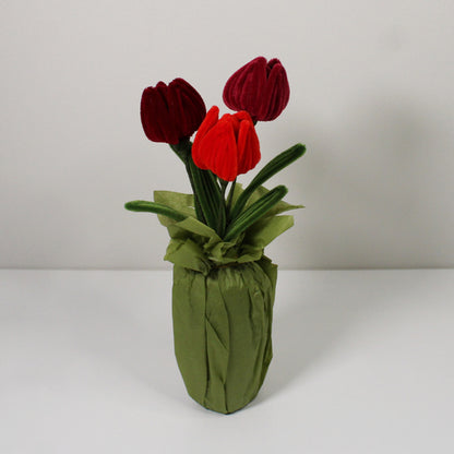 Tulipán červený mix
