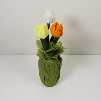 Tulipán žlutý mix