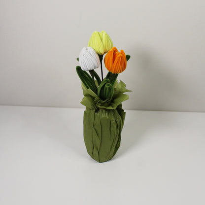 Tulipán žlutý mix