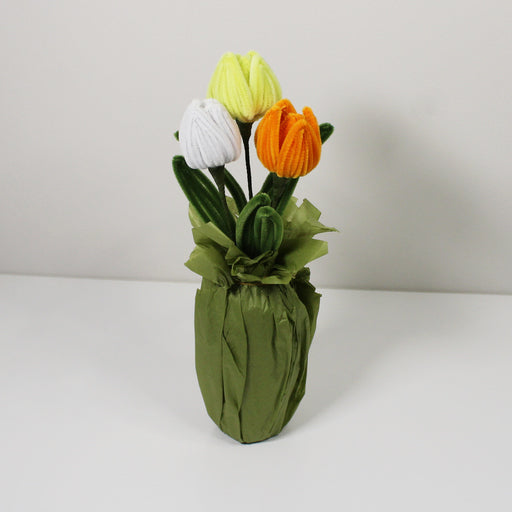 Tulipán žlutý mix