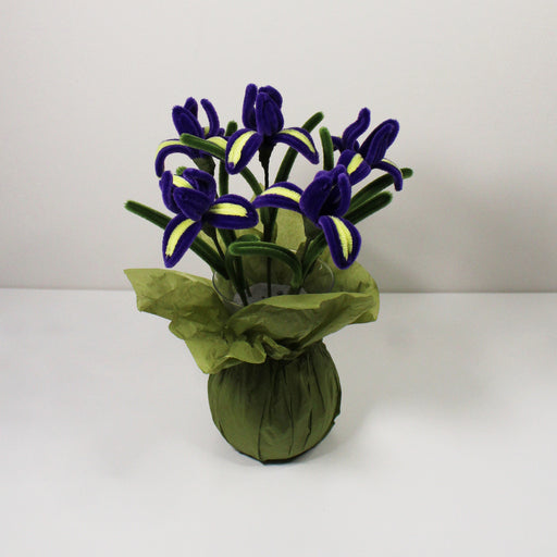 Iris (kosatec)