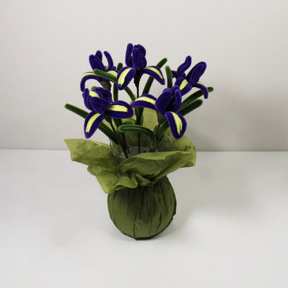Iris (kosatec)