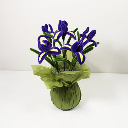 Iris (kosatec)