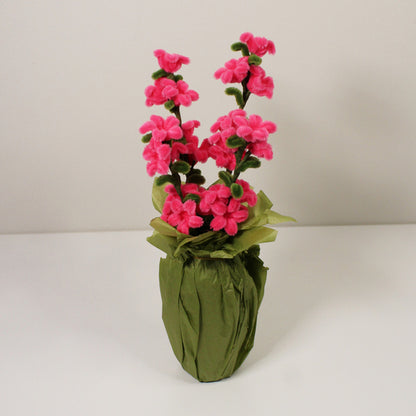 Oxypetalum