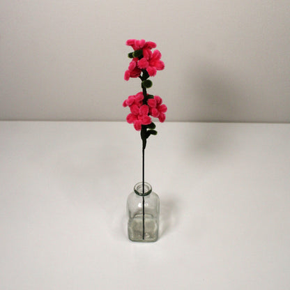 Oxypetalum